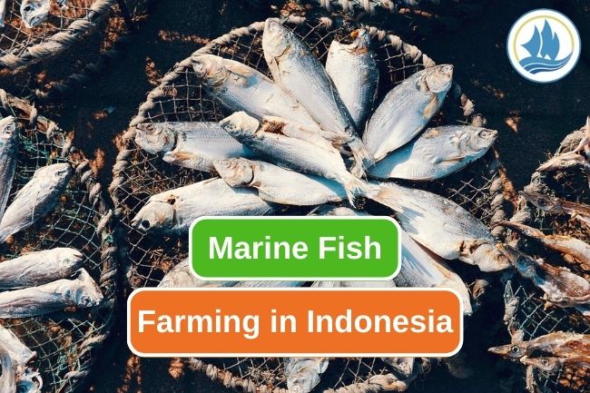 4 Commonly Farmed Marine Fish In Indonesia 